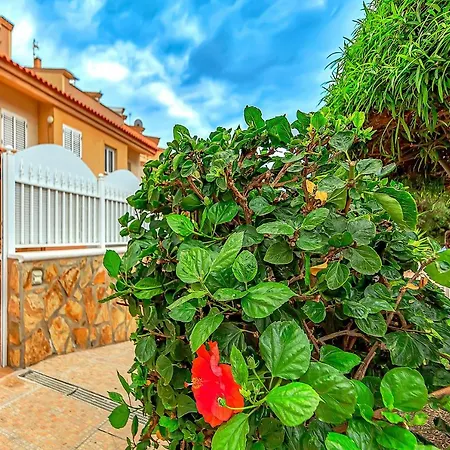 With Private Patio *
